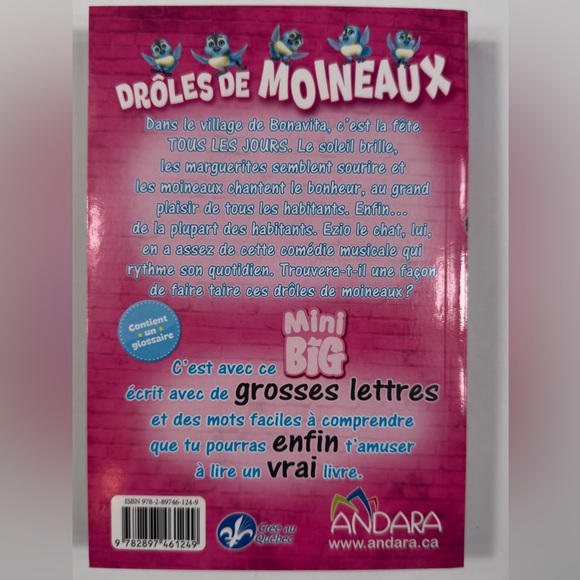 📚 Drôles de moineaux – Émilie Rivard - Picture 2 of 6
